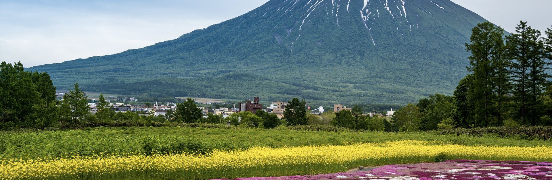 Ukiyo - Sightseeing mountain